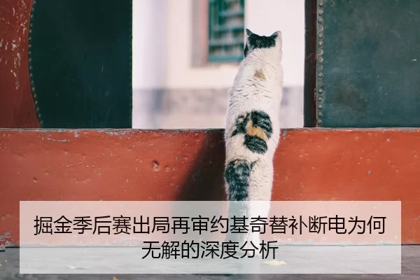 掘金季后赛出局再审约基奇替补断电为何无解的深度分析