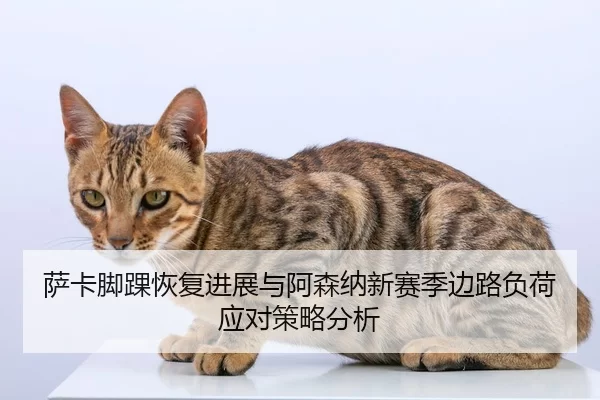 萨卡脚踝恢复进展与阿森纳新赛季边路负荷应对策略分析