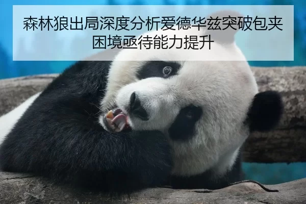 森林狼出局深度分析爱德华兹突破包夹困境亟待能力提升
