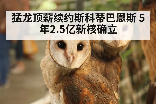 猛龙顶薪续约斯科蒂巴恩斯 5年2.5亿新核确立