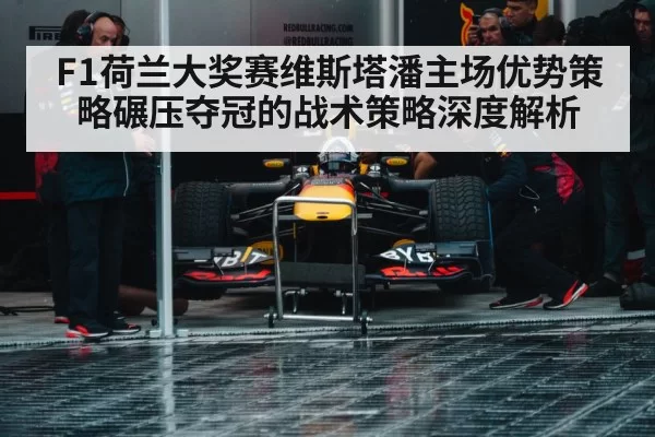 F1荷兰大奖赛维斯塔潘主场优势策略碾压夺冠的战术策略深度解析