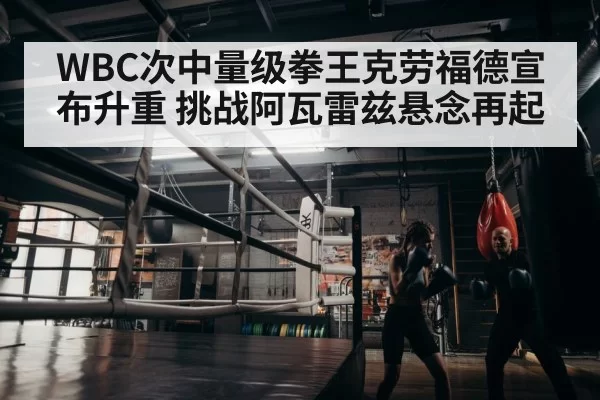 boxer training